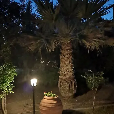 A Taste Of Paradise *